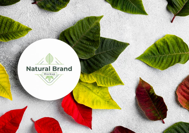 Free Natural Brand Mock-Up With Leaves Psd