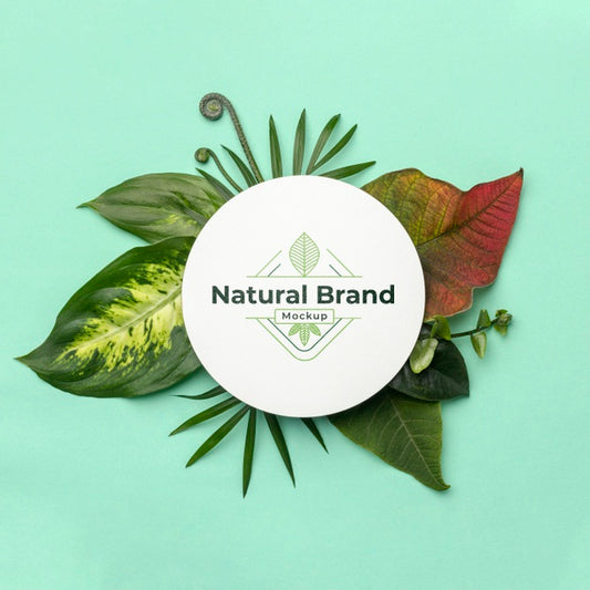 Free Natural Brand Mock-Up With Leaves Psd