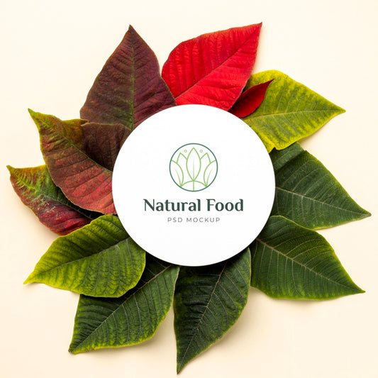 Free Natural Food Mock-Up With Leaves Psd