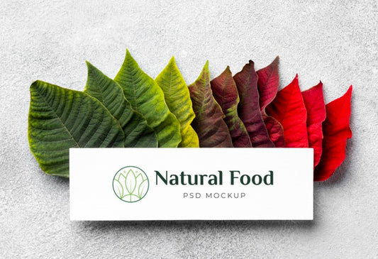 Free Natural Food Mock-Up With Leaves Psd