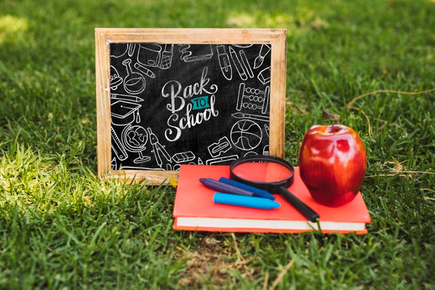 Free Organized Back To School Arrangement Psd