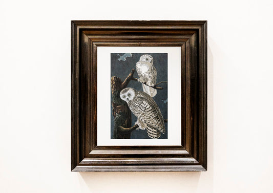 Free Painting Of Owls In A Wooden Frame Psd