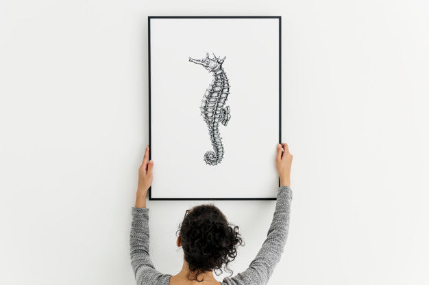 Free Photo Frame With A Seahorse Drawn Picture Psd