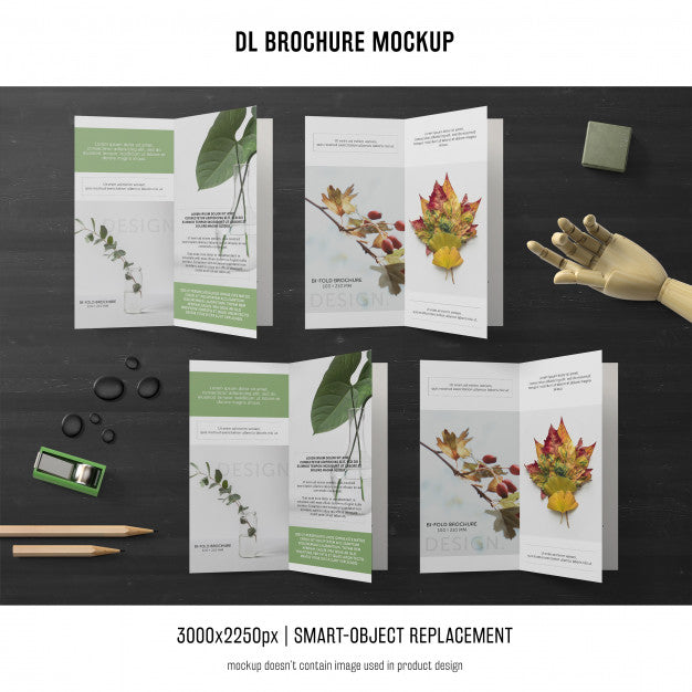 Free Portrait Dl Brochure Mockup Psd