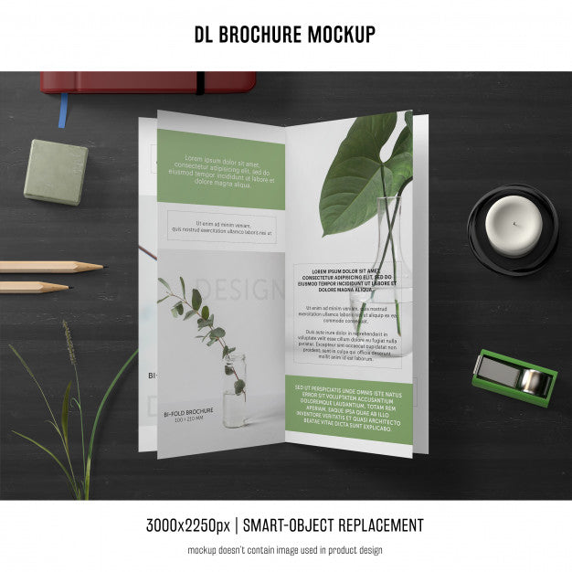 Free Portrait Dl Brochure Mockup Psd