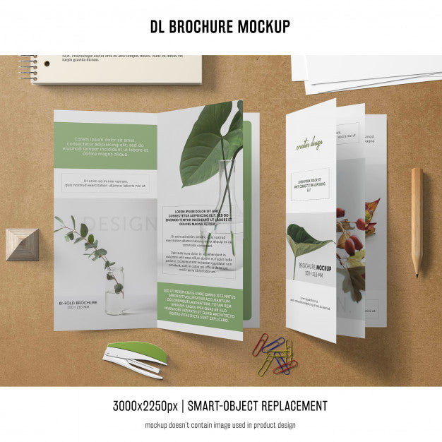 Free Portrait Dl Brochure Mockup Psd