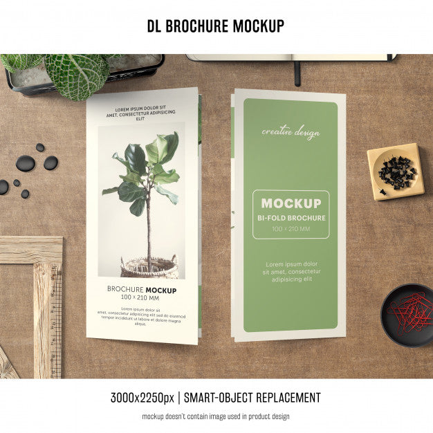 Free Portrait Dl Brochure Mockup Psd