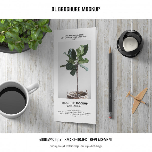 Free Portrait Dl Brochure Mockup Psd