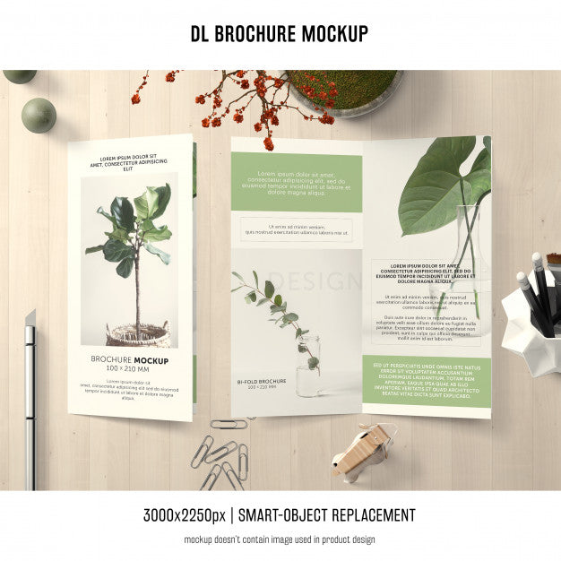 Free Portrait Dl Brochure Mockup Psd