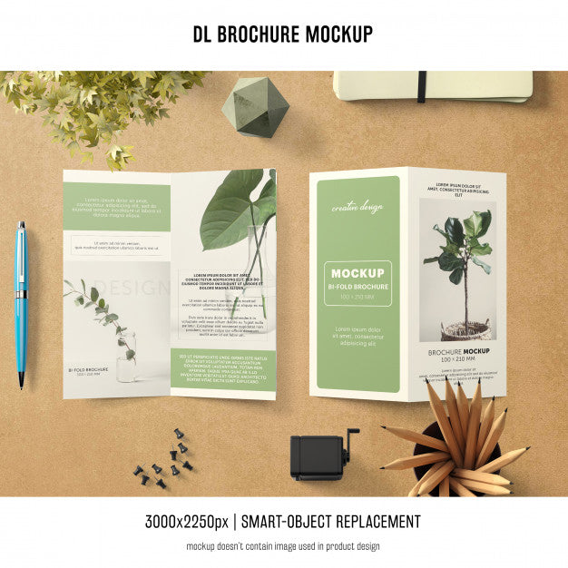 Free Portrait Dl Brochure Mockup Psd