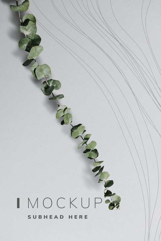 Free Poster Mockup With Eucalyptus Leaves Psd