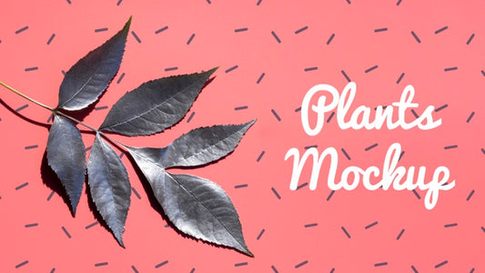 Free Realistic Branch With Leaves Mock-Up Psd
