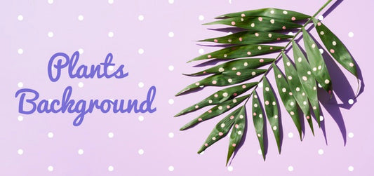 Free Realistic Plant Draw With White Dots Psd