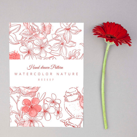 Free Red Gerbera Flower Placed Next To Card Mockup Psd