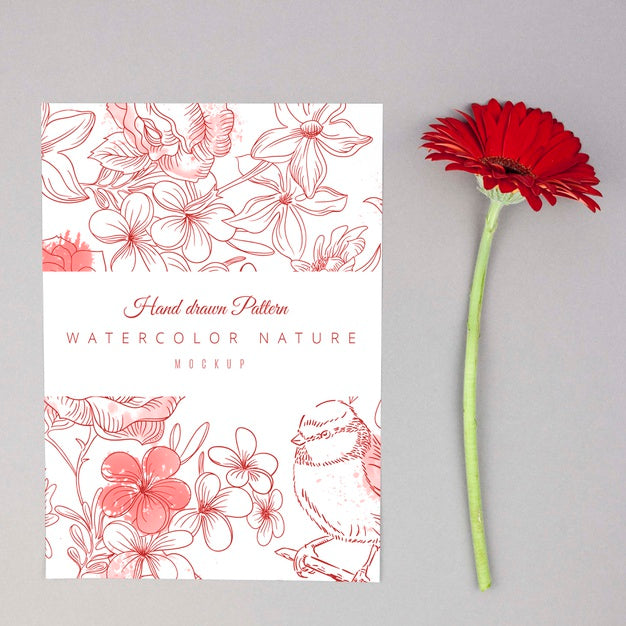 Free Red Gerbera Flower Placed Next To Card Mockup Psd