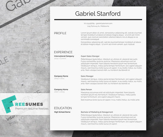 Free Classic Conservative Professional CV Resume Template in Clean Text Style in Microsoft Word (DOC) Format