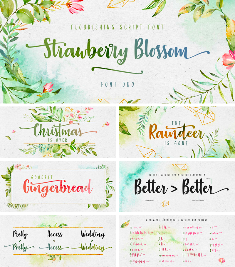 Strawberry Blossom Brush Font - Free Download