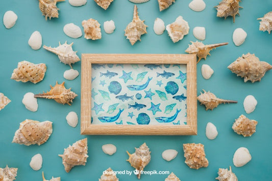 Free Summer Concept With Frame And Mollusks Psd