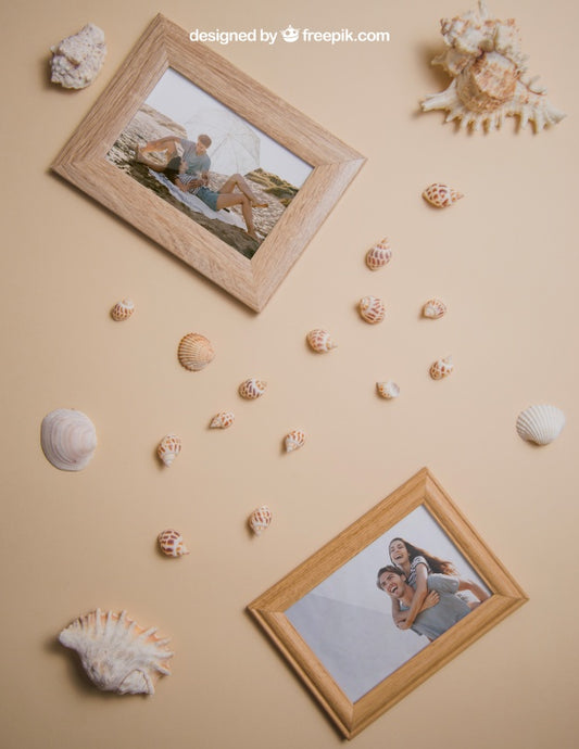 Free Summer Concept With Frames And Seashells Psd