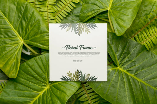 Free Top View Assortment Of Green Leaves With Mock-Up Psd