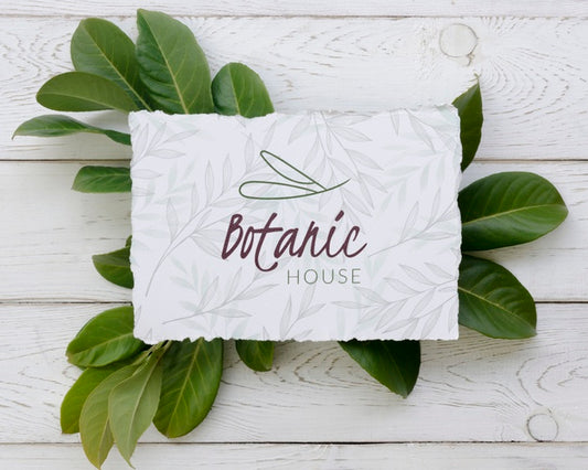 Free Top View Botanic House Mock-Up Concept Psd