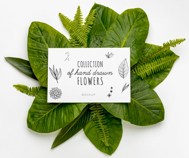 Free Top View Collection Of Hand Drawn Flowers With Mock-Up Psd