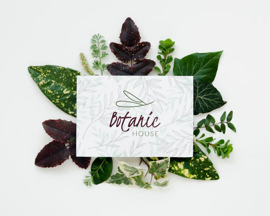 Free Top View Frame With Botanic Leaves Psd