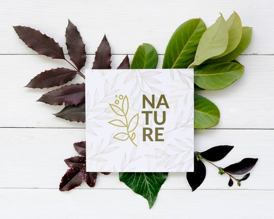 Free Top View Frame With Nature Leaves Concept Psd