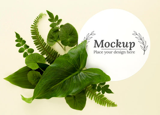 Free Top View Green Leaves Assortment With Mock-Up Psd