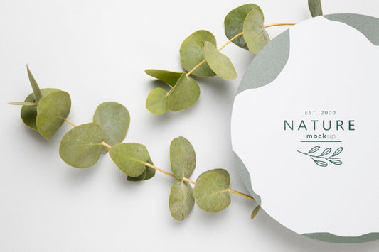 Free Top View Green Leaves With Mock-Up Psd