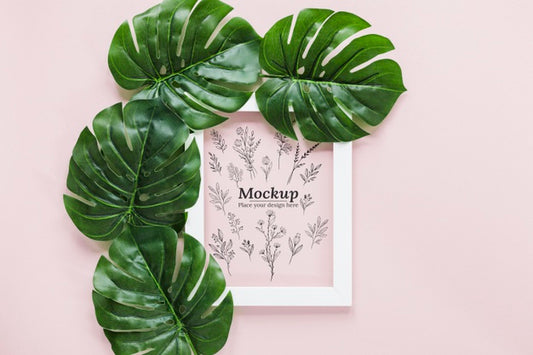 Free Top View Monstera Leaves With Frame Psd