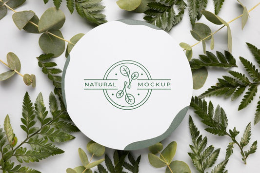 Free Top View Natural Mock-Up With Leaves Psd