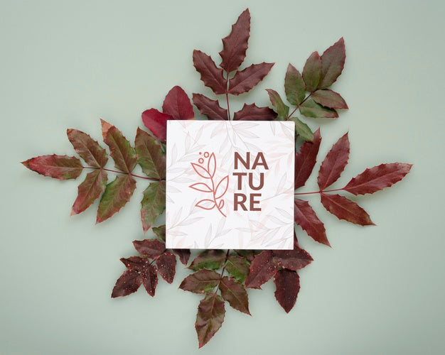 Free Top View Nature Leaves With Mock-Up Psd