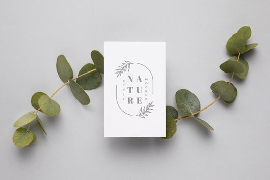 Free Top View Nature Leaves With Mock-Up Psd