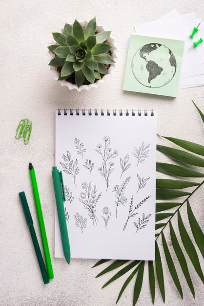 Free Top View Notebook Mock-Up And Stationery Near Succulent Plant Psd