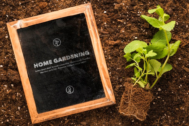 Free Top View Of Blackboard On Soil With Plant And Roots Psd