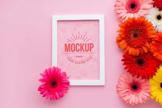 Free Top View Of Daisies With Frame Psd