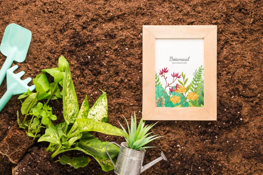 Free Top View Of Frame On Soil With Plants And Tools Psd