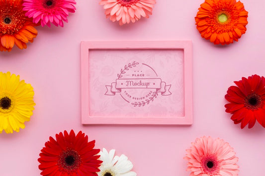 Free Top View Of Frame With Daisies Psd
