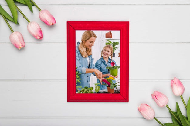 Free Top View Of Frame With Spring Tulips Psd