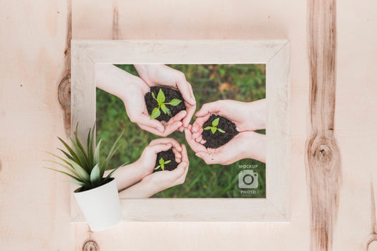 Free Top View Of Frame With Succulent Plant Psd
