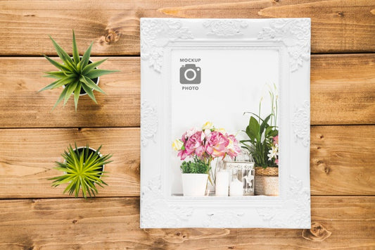 Free Top View Of Frame With Succulents Psd