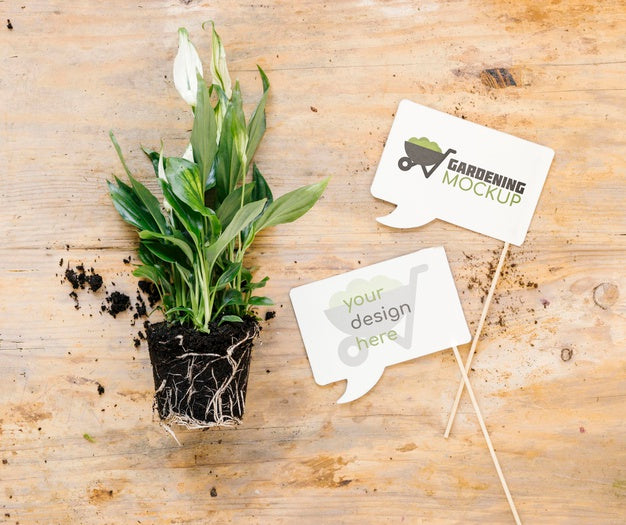 Free Top View Of Gardening Concept Mock-Up Psd