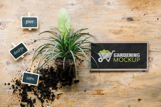 Free Top View Of Gardening Concept Mock-Up Psd