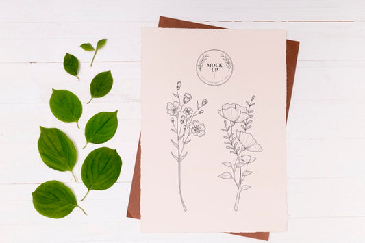 Free Top View Of Leaves Concept Mock-Up Psd