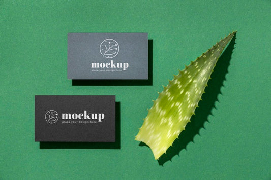 Free Top View Of Paper Stationery With Leaf Psd