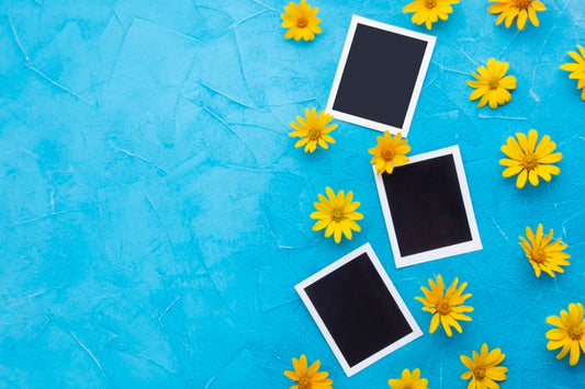 Free Top View Of Photographs With Yellow Chamomile And Copy Space Psd