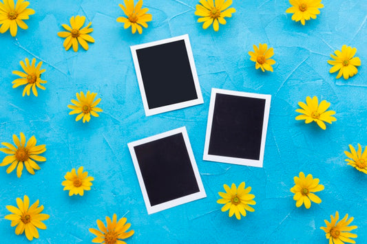 Free Top View Of Photographs With Yellow Chamomile Psd