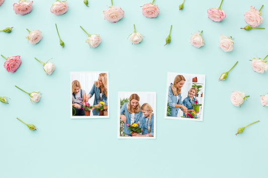 Free Top View Of Photos With Spring Roses Psd
