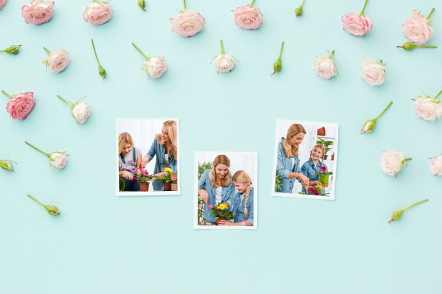 Free Top View Of Photos With Spring Roses Psd